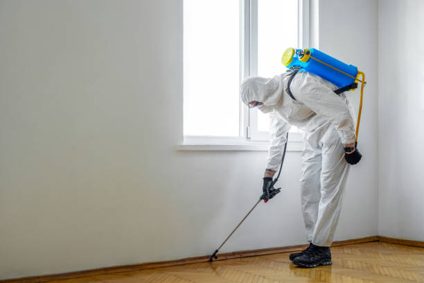 Best Emergency Pest Control  in Shavertown, PA